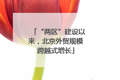 “两区”建设以来，北京外贸规模跨越式增长